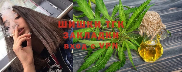 2c-b Алзамай