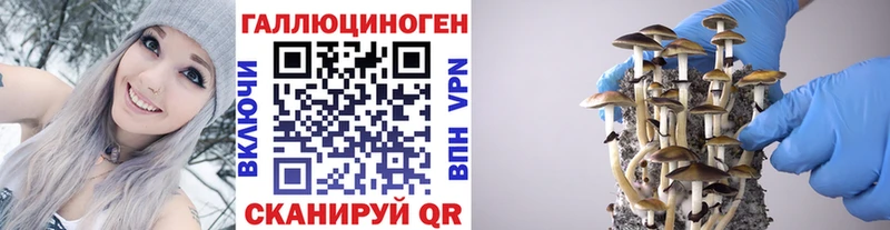 Псилоцибиновые грибы Cubensis  Комсомольск 